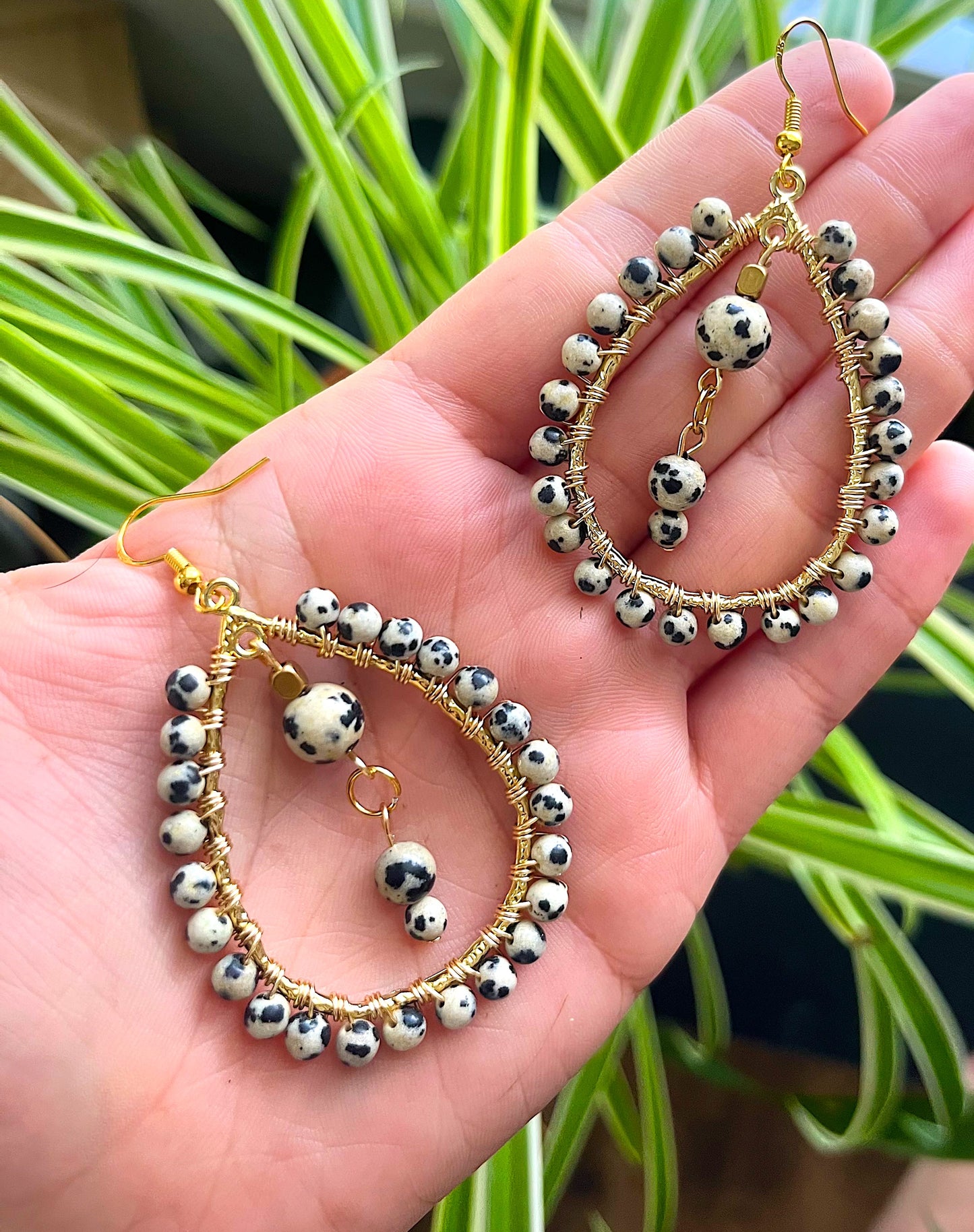 Dalmatian Jasper Oval Earrings